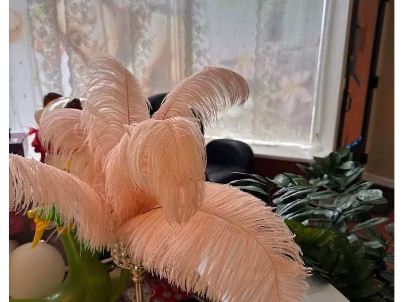 New Angel's Healing Spa