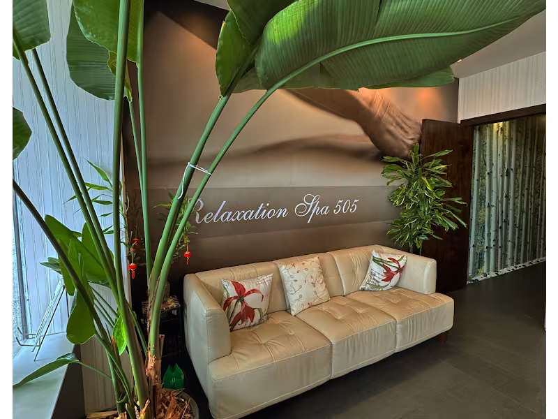 Spa 505  1338 Hicksville Rd