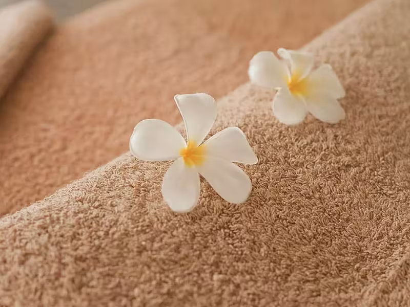 Maple SPA Massage
