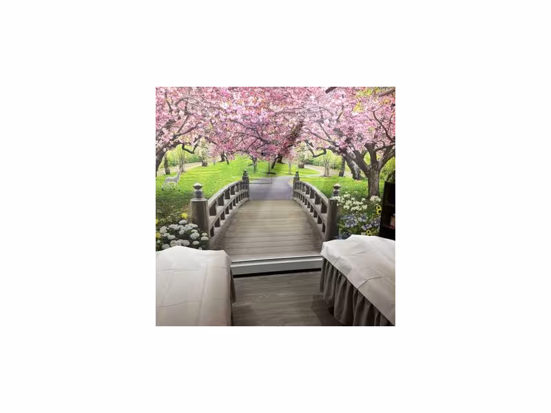 Spring Breeze Spa