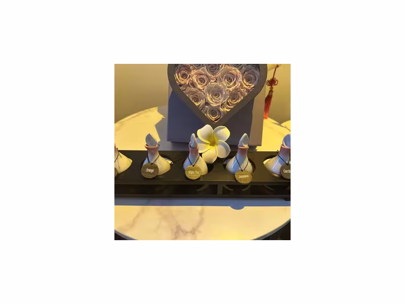 V Spa