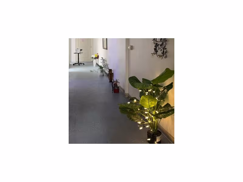 Susie Massage Spa
