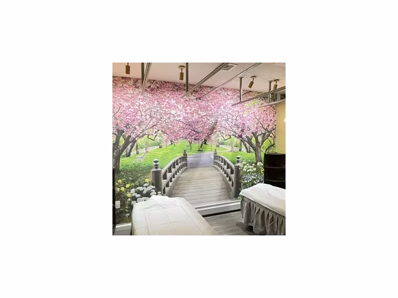 Spring Breeze Spa