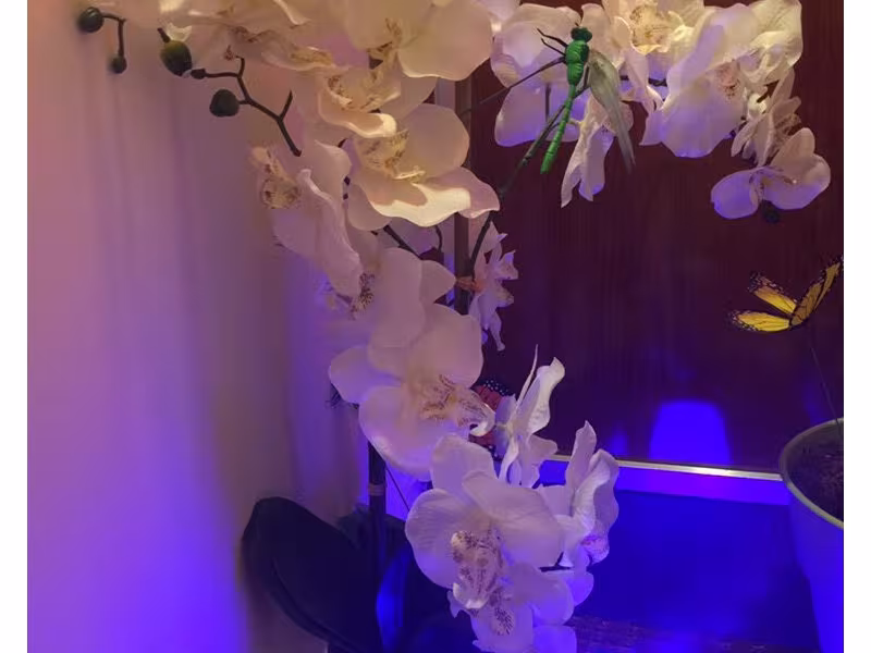Blossom Spa