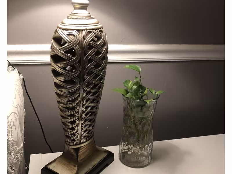 JinYu Spa Wellness