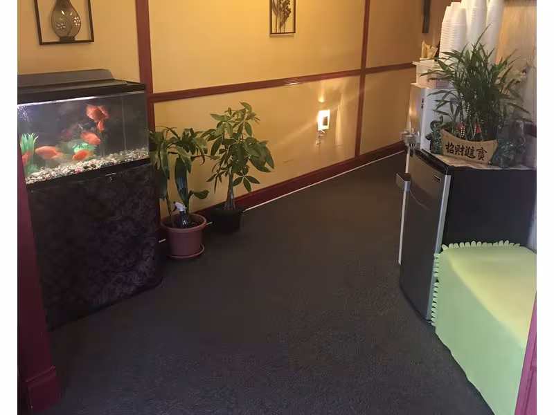 Li Health Foot Spa