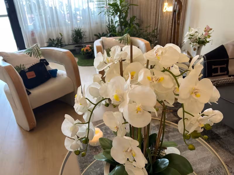 Ginkgo Day Spa