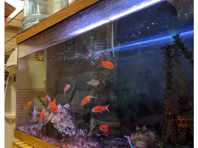 Red Lantern Foot Spa