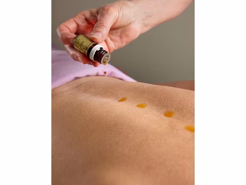 Albany Massage Professionals